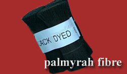Palmyra Fibers